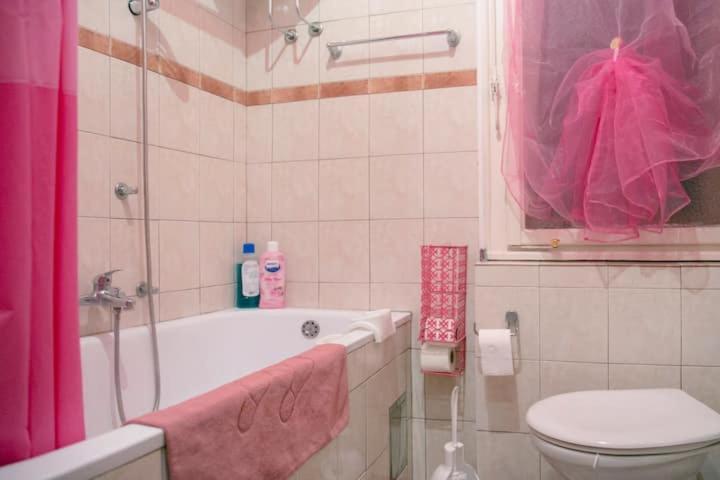 Faboulous Apartment Belgrad Dış mekan fotoğraf